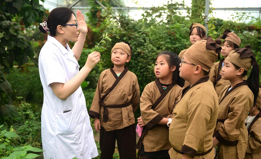 參加活動(dòng)的孩子聆聽滄州市人民醫(yī)院國醫(yī)館中醫(yī)對(duì)中藥材的講解。 傅新春攝