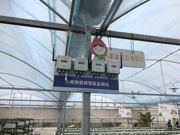 都市四季果園內(nèi)的物聯(lián)網(wǎng)智能監(jiān)測站系統(tǒng)。東?？h委宣傳部供圖