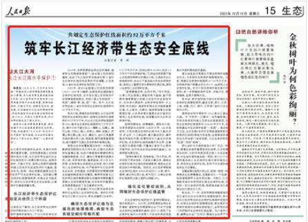 人民日報。截圖