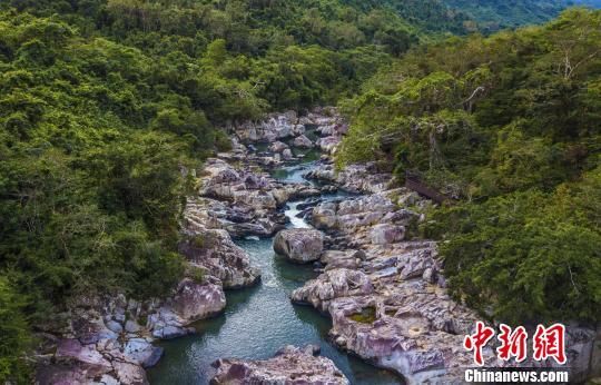 2018年海南生態(tài)環(huán)境狀況等級為“優(yōu)”，植被覆蓋率高，生物多樣性豐富，生態(tài)系統(tǒng)穩(wěn)定，圖為海南中部熱帶雨林?！●樤骑w　攝