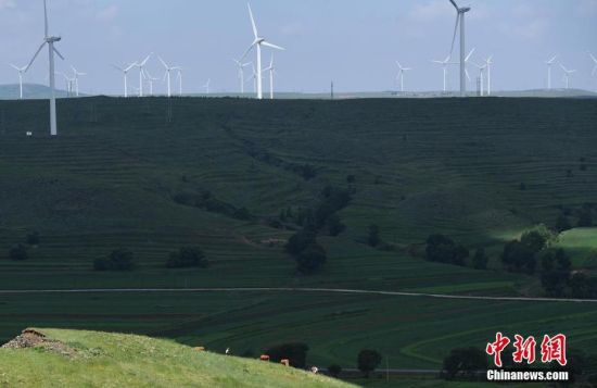 6月28日，河北張家口張北草原上大片風力發(fā)電的“風車”規(guī)模宏大。 中新社記者 楊艷敏 攝