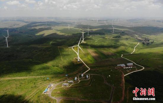 6月28日，河北張家口張北草原上大片風力發(fā)電的“風車”規(guī)模宏大。 中新社記者 楊艷敏 攝