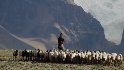 你看了嗎？藏語版《日光之城》“含金量”還在上升！