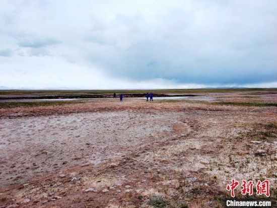 圖為救援力量在青海省西部搜救失聯(lián)的江蘇南京某大學(xué)女生黃某某。海西州藍天應(yīng)急救援中心 供圖