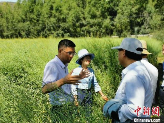 圖為九三學(xué)社青海省委主委杜德志(左一)在基層調(diào)研。受訪者供圖