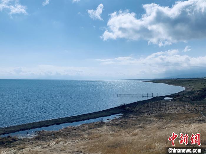 圖為青海湖畔。(資料圖) 張傲 攝