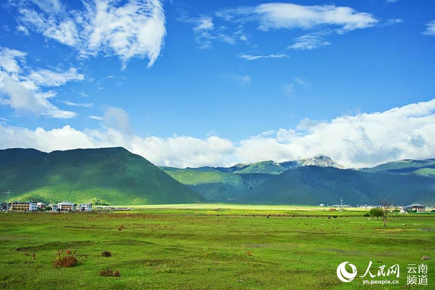 納帕海濕地風(fēng)景。呂昊辰攝