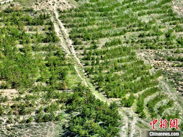 航拍建行青海省分行綠化區(qū)?！∑钤鲚?攝
