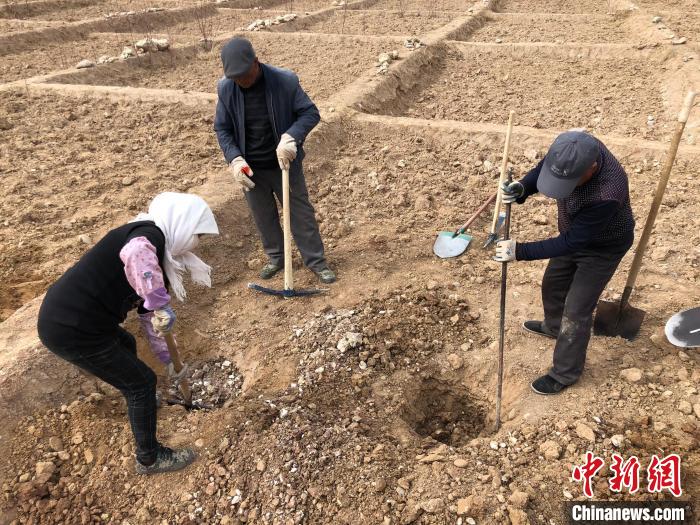 資料圖為建行青海省分行綠化區(qū)施工隊(duì)隊(duì)員處理亂石?！〗ㄐ星嗪Ｊ》中泄﹫D