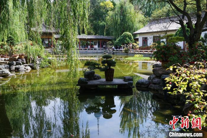 圖為西寧園林植物園秋日風(fēng)景別有韻味?！●R銘言 攝