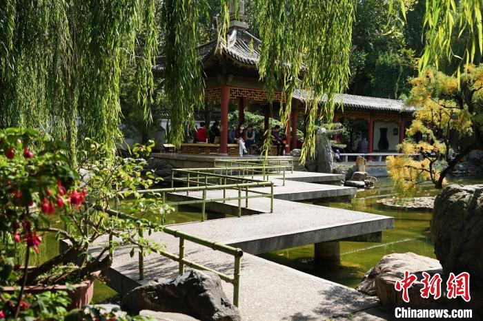 圖為西寧園林植物園秋日風(fēng)景別有韻味?！●R銘言 攝