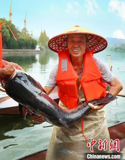 工作人員展示捕撈成果?！≈鬓k方供圖