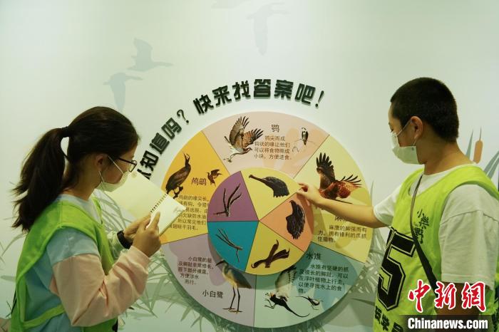 圖為小朋友在青海西寧湟水國家濕地公園科普館內(nèi)參觀學(xué)習(xí)。　馬銘言 攝