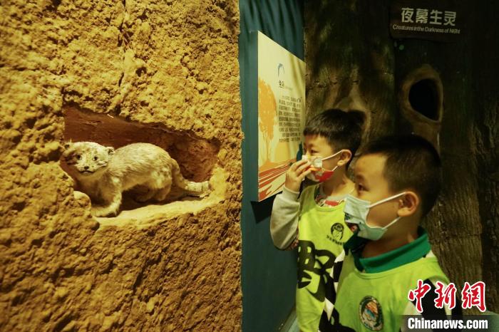圖為小朋友在青海西寧湟水國家濕地公園科普館內(nèi)參觀學(xué)習(xí)?！●R銘言 攝