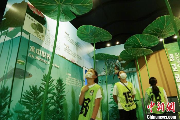 圖為小朋友在青海西寧湟水國家濕地公園科普館內(nèi)參觀學(xué)習(xí)?！●R銘言 攝