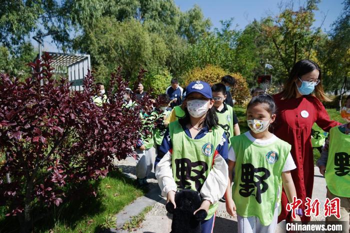 圖為小朋友在青海西寧湟水國家濕地公園內(nèi)認(rèn)識植物。　馬銘言 攝
