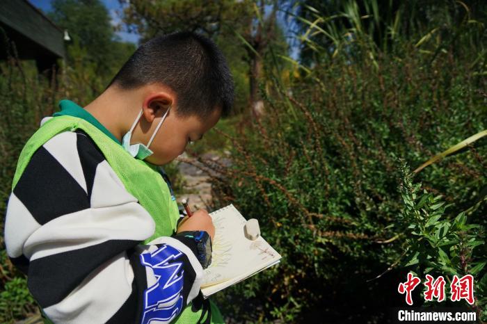 圖為小朋友在青海西寧湟水國家濕地公園內(nèi)認(rèn)識植物并進(jìn)行繪畫?！●R銘言 攝