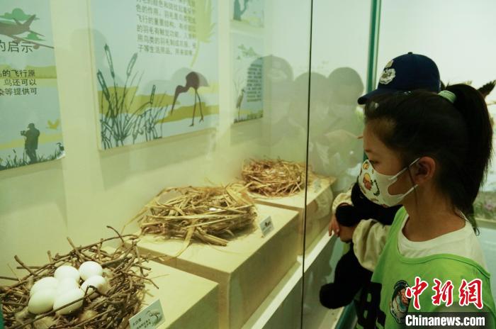 圖為小朋友在青海西寧湟水國家濕地公園科普館內(nèi)參觀學(xué)習(xí)?！●R銘言 攝