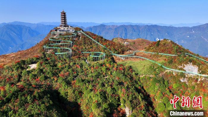 巴山大峽谷彩林迎來最佳觀賞期。　姚盛 攝