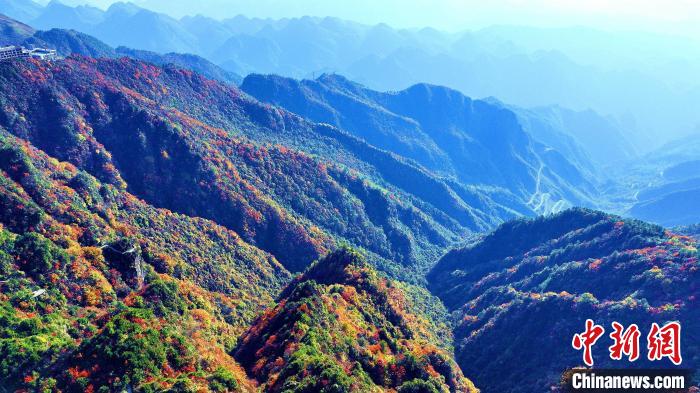 巴山大峽谷彩林迎來最佳觀賞期?！埰?攝