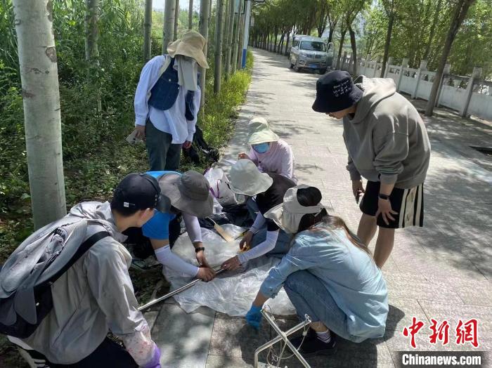圖為科研人員正在進(jìn)行監(jiān)測(cè)。　西寧湟水國(guó)家濕地公園供圖