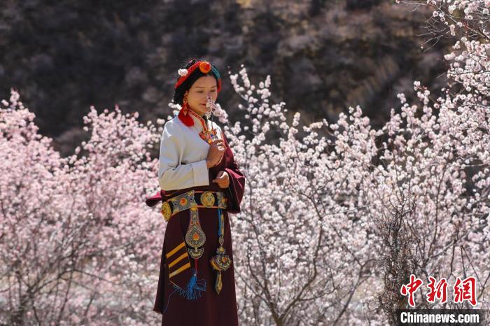 白玉縣河坡鎮(zhèn)桃花林間身穿民族服飾的藏族女孩?！“子袢诿?攝