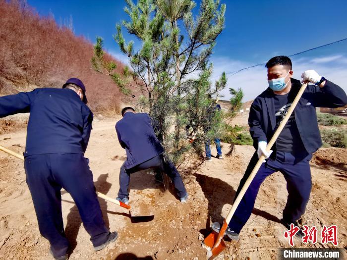 圖為西寧市城東區(qū)義務(wù)植樹活動現(xiàn)場?！?zhí)砀?攝
