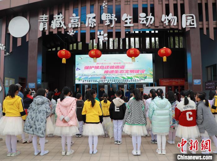 圖為青海省西寧市開展第42屆“愛鳥周”科普宣傳活動(dòng)?！●R銘言 攝