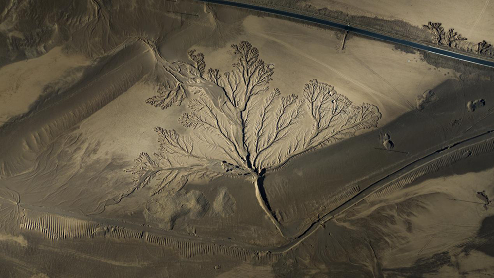 無人機(jī)視角下的西藏阿里地區(qū)改則縣“大地之樹”景觀。尼瑪多吉攝