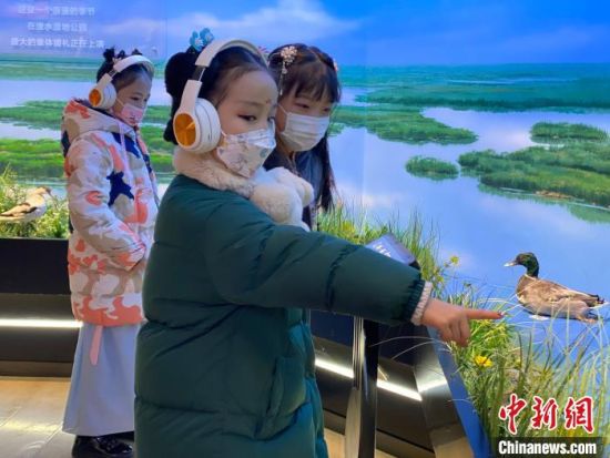 圖為學(xué)生在西寧市第一中學(xué)濕地科普宣教館內(nèi)參觀?！±罱瓕?攝