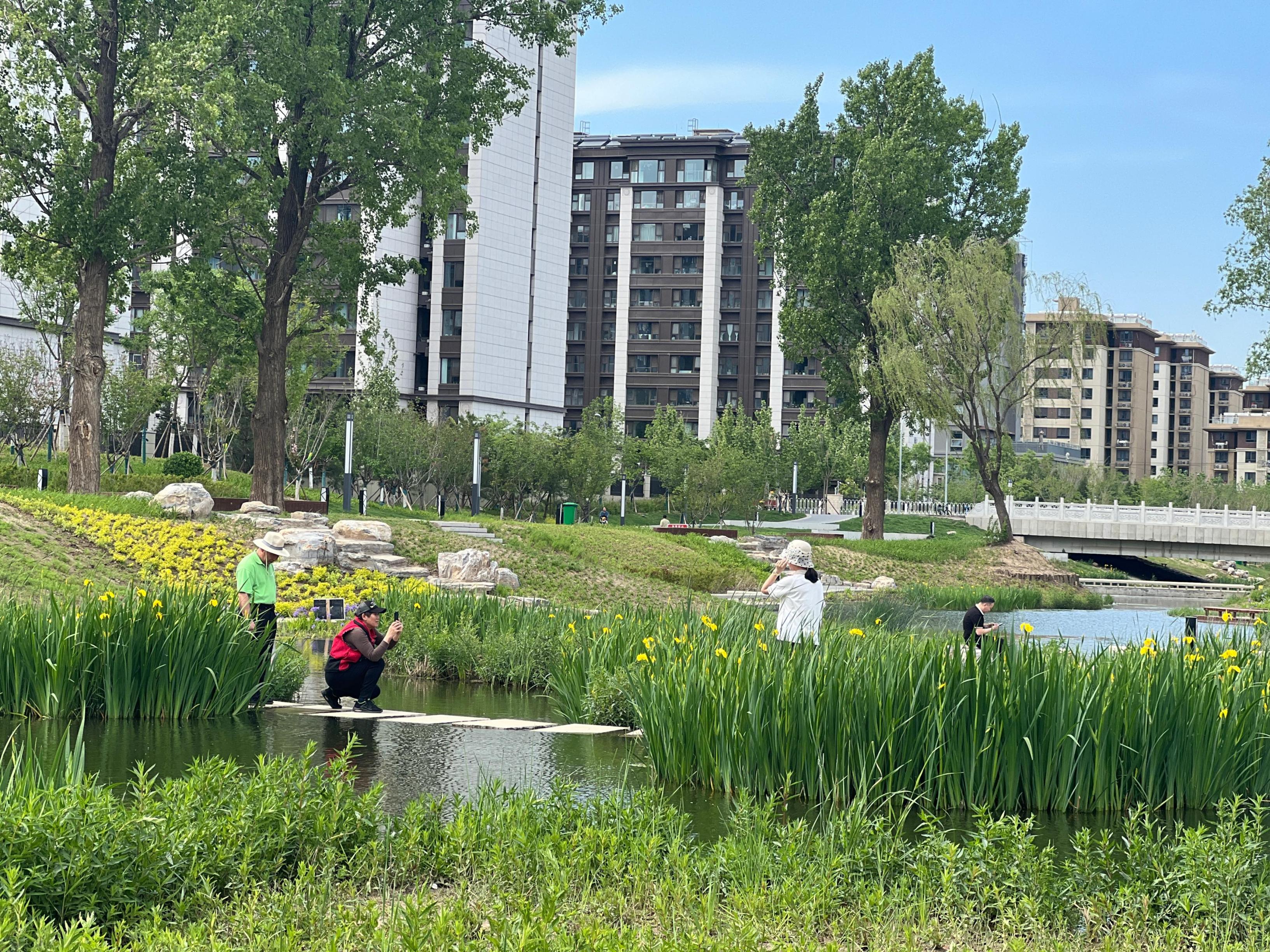 五一渠生態(tài)濱河公園內(nèi)，市民正在拍照留念。人民網(wǎng) 歐陽易佳攝