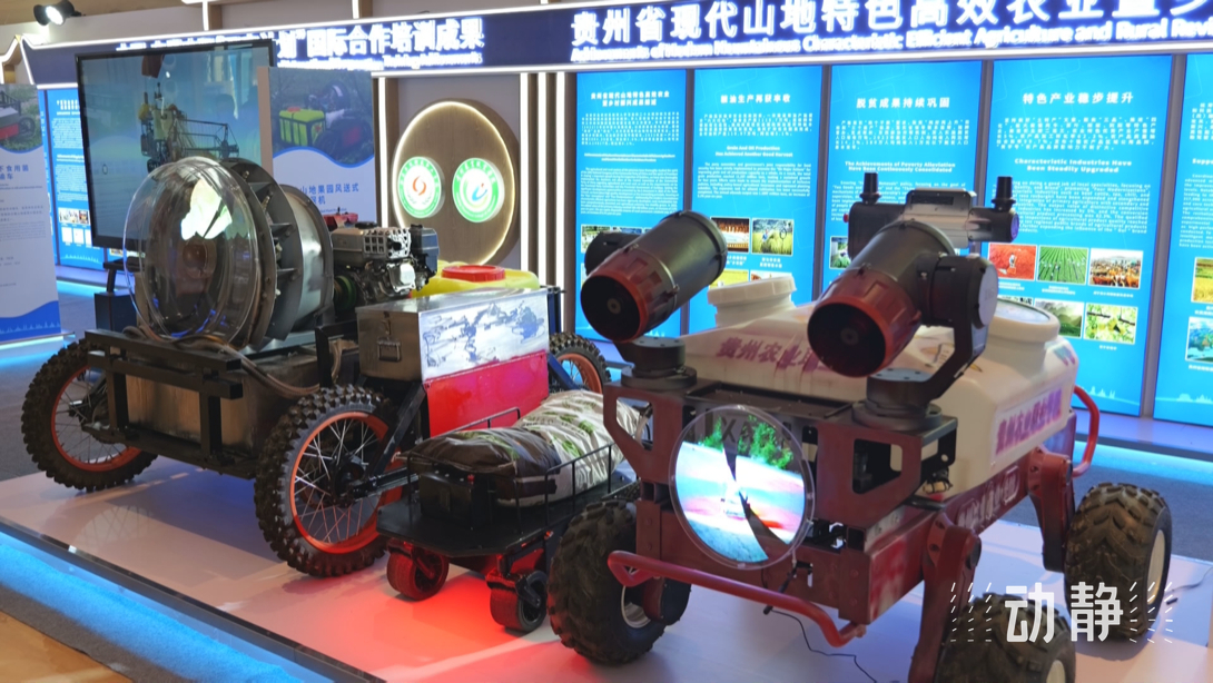 展示成果分享經(jīng)驗(yàn)，中國—東盟教育交流周深化合作共創(chuàng)未來！