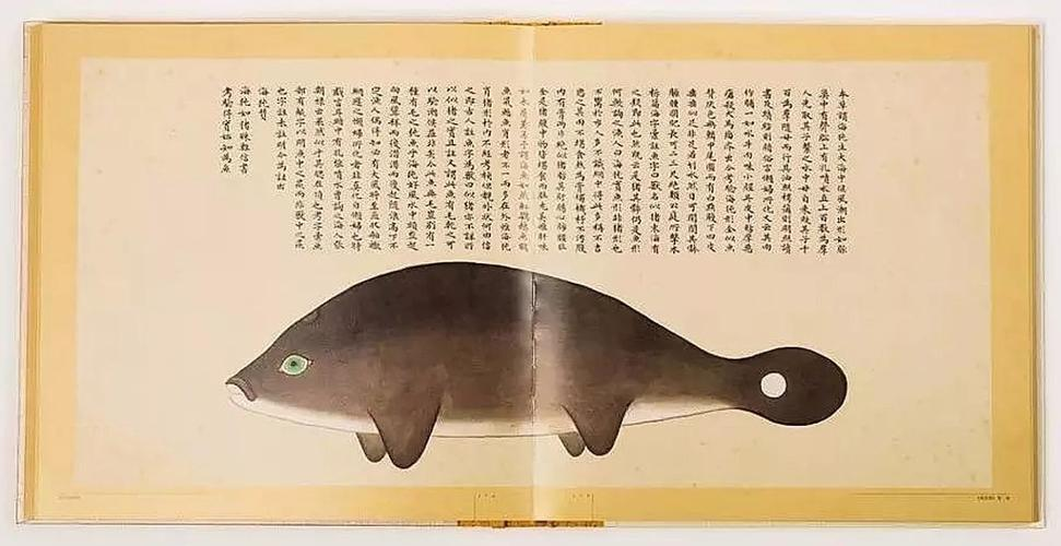 文化中國行 長江之歌丨微笑的江豚，從四千年前“游”來