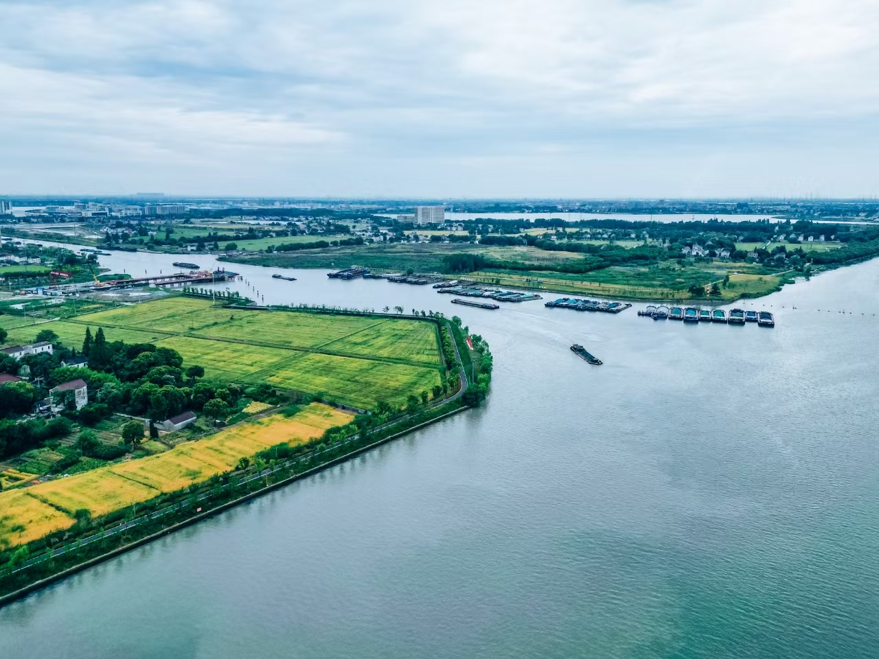 太浦河沿岸好風(fēng)光。吳橫軒攝