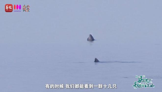 “縣”在起筆 青綠繪江山 | 江灣沐曉：褪去“銹色”走“金線”，繡出生態(tài)與產(chǎn)業(yè)“雙面錦”