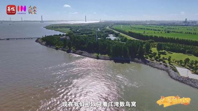 “縣”在起筆 青綠繪江山 | 江灣沐曉：褪去“銹色”走“金線”，繡出生態(tài)與產(chǎn)業(yè)“雙面錦”