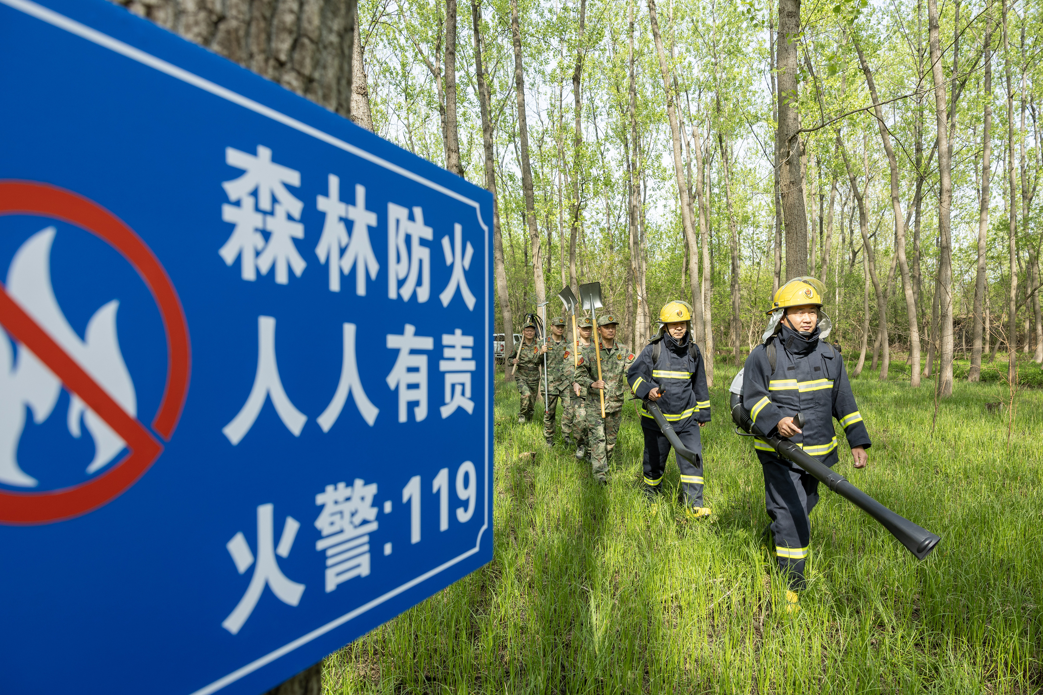 2024年4月9日，合肥市大房郢水庫(kù)水源保護(hù)地廬陽(yáng)經(jīng)濟(jì)開發(fā)區(qū)段，基干民兵正在林間巡查火災(zāi)隱患。
