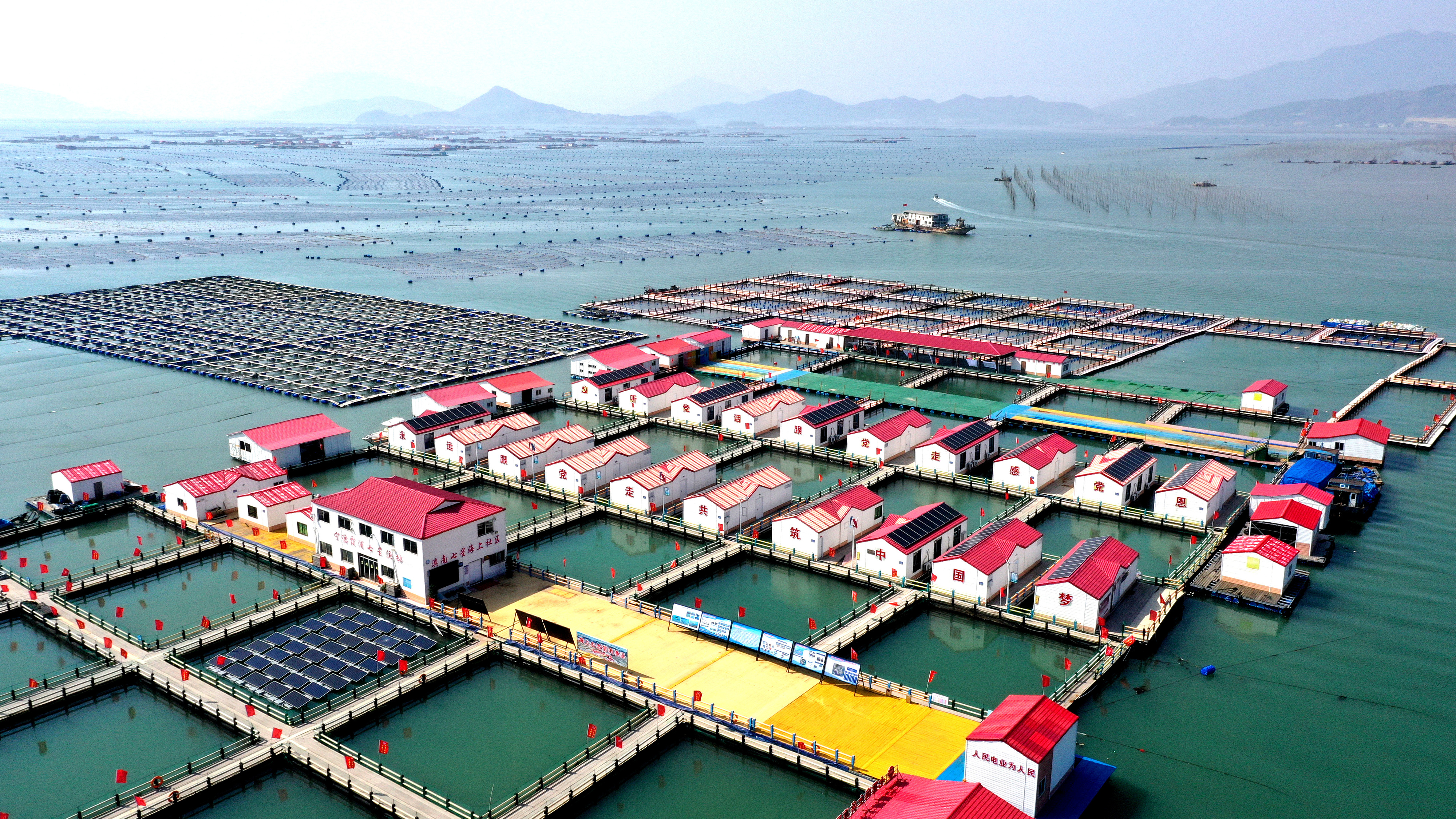 2024年3月20日，福建省寧德市，霞浦縣溪南鎮(zhèn)七星村漁排養(yǎng)殖示范區(qū)，漁民駕駛養(yǎng)殖船進(jìn)行海參養(yǎng)殖作業(yè)。