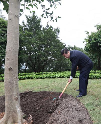 2012年12月7日至11日，習(xí)近平在廣東省考察工作。這是8日上午，習(xí)近平在深圳蓮花山公園種下一棵高山榕樹。新華社記者 蘭紅光 攝