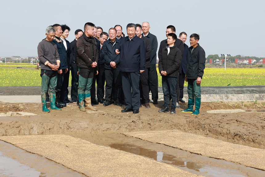 2024年3月18日至21日，中共中央總書記、國家主席、中央軍委主席習近平在湖南考察。這是19日下午，習近平在常德市鼎城區(qū)謝家鋪鎮(zhèn)港中坪村走進田間，察看秧苗培育和春耕備耕進展。新華社記者 王曄 攝