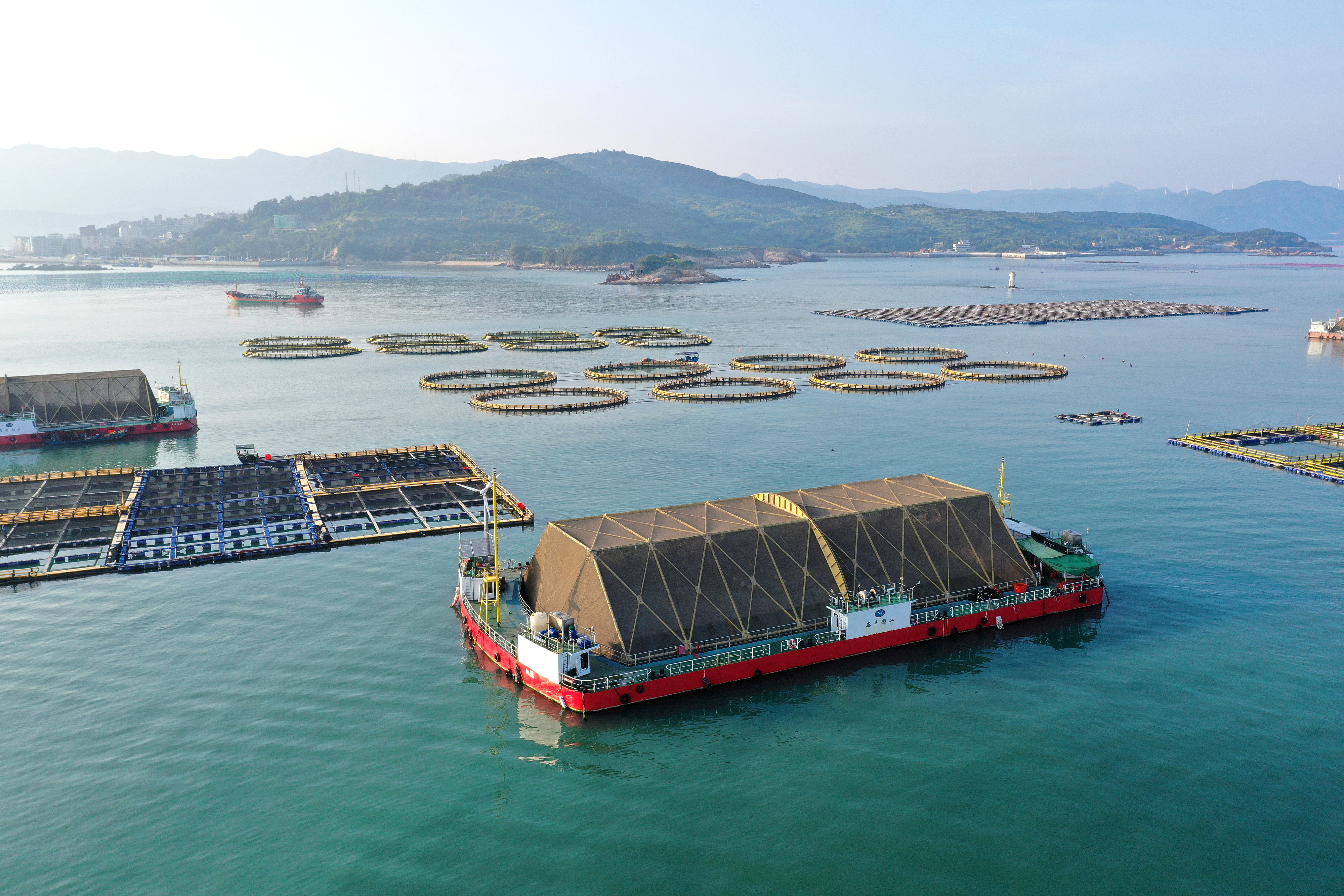 2024年9月10日拍攝的福建省福州市連江縣定海灣海域的現代化“海上糧倉”。