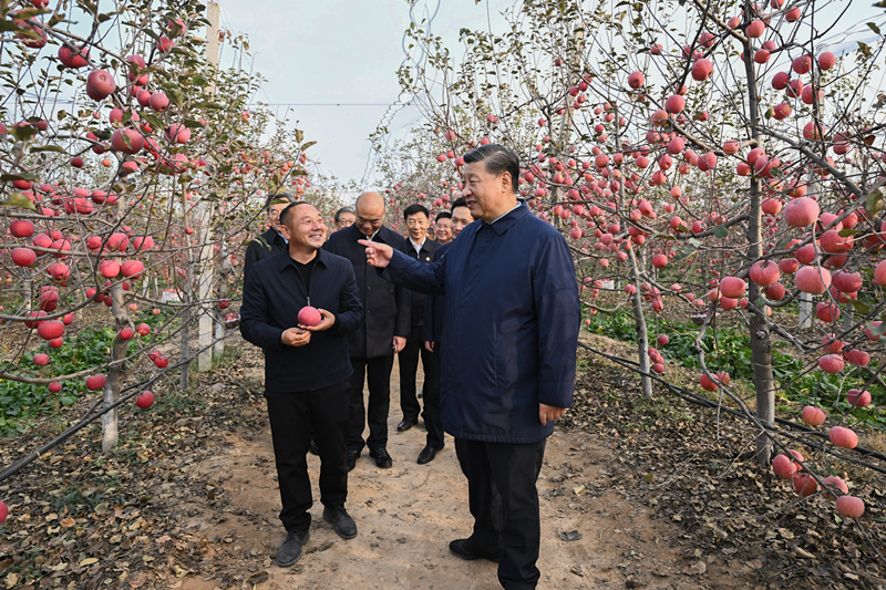 2022年10月26日，習近平總書記在陜西省延安市安塞區(qū)高橋鎮(zhèn)南溝村的蘋果園里同老鄉(xiāng)們親切交流。