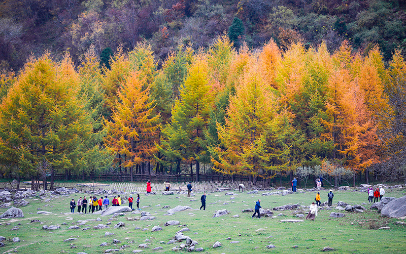 2023年10月27日，深秋時節(jié)的陜西秦嶺太子嶺漫山紅黃、色彩交織，進入最佳觀賞期。