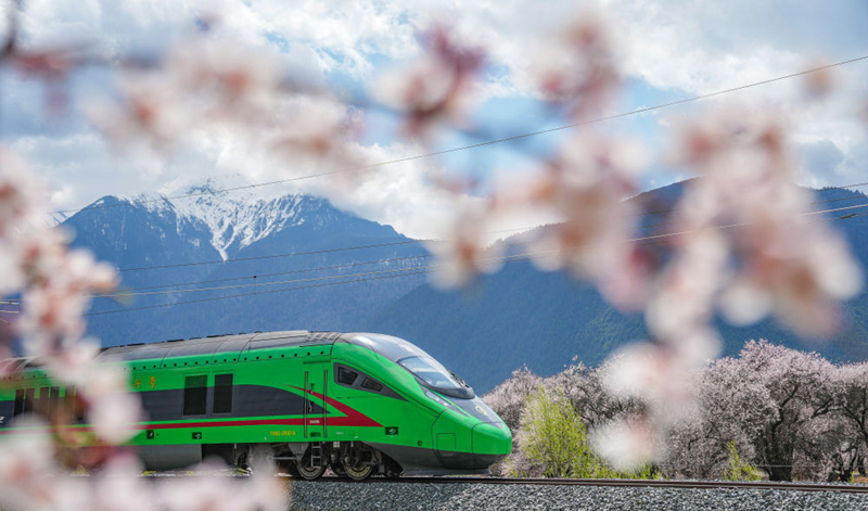 2025年4月2日，復(fù)興號列車穿行在拉林鐵路林芝段。