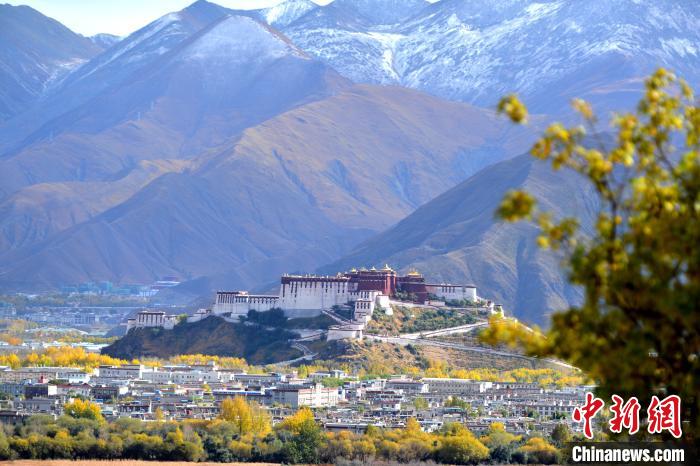 10月24日，雪山、布達拉宮和秋色組成“風景畫”?！〗w波 攝