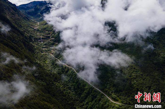 西藏山南勒布溝景區(qū)的盤山公路被云霧環(huán)繞。　江飛波 攝