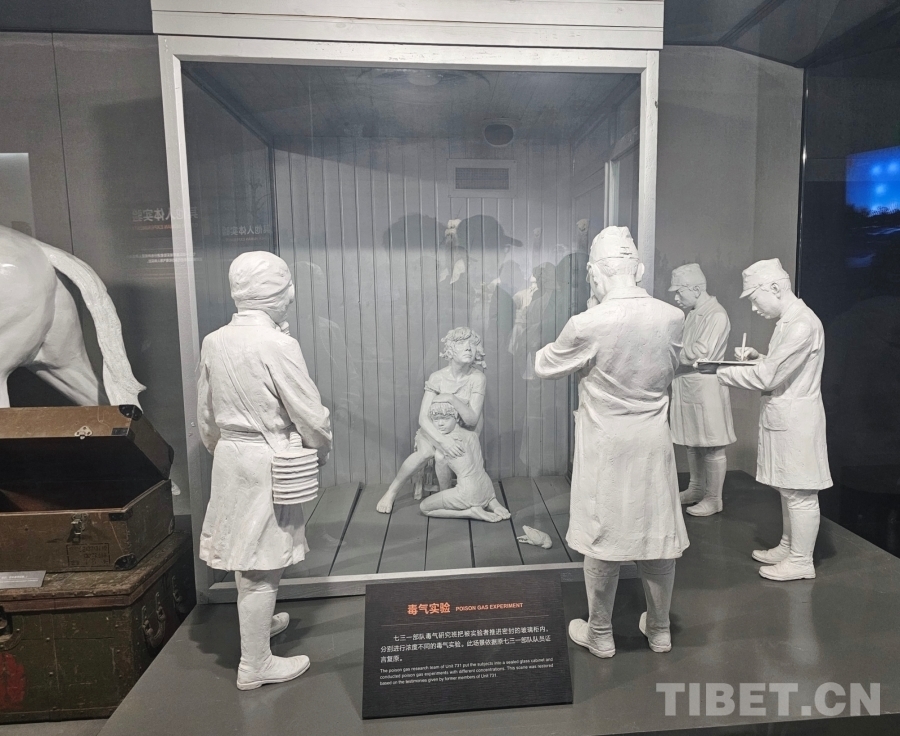 MEITU_20240813_215828545 MEITU_20240813_215828545