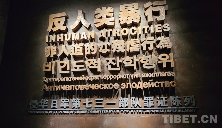 MEITU_20240813_215850965 MEITU_20240813_215850965