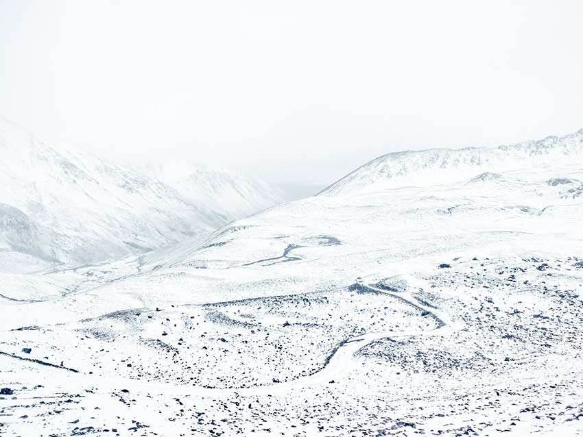 資料圖。云南白馬雪山國家級自然保護(hù)區(qū)供圖