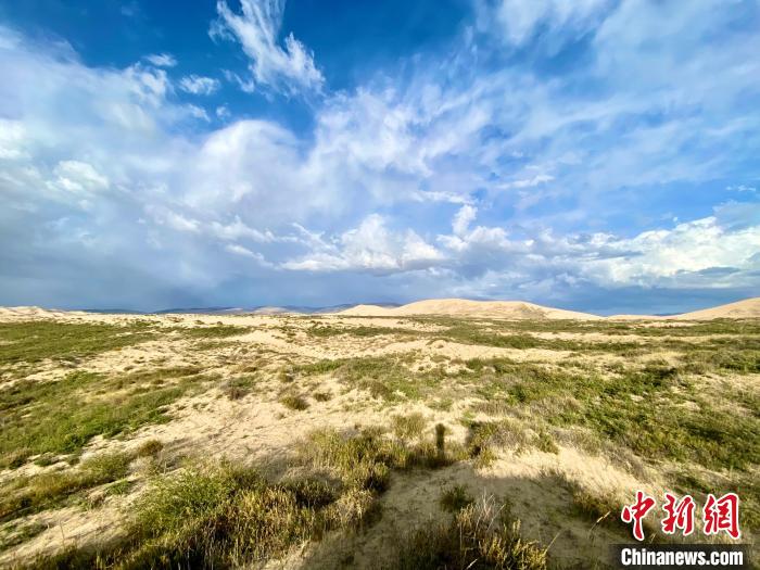圖為關(guān)停四年后的沙島景區(qū)現(xiàn)狀?！±罱瓕?攝